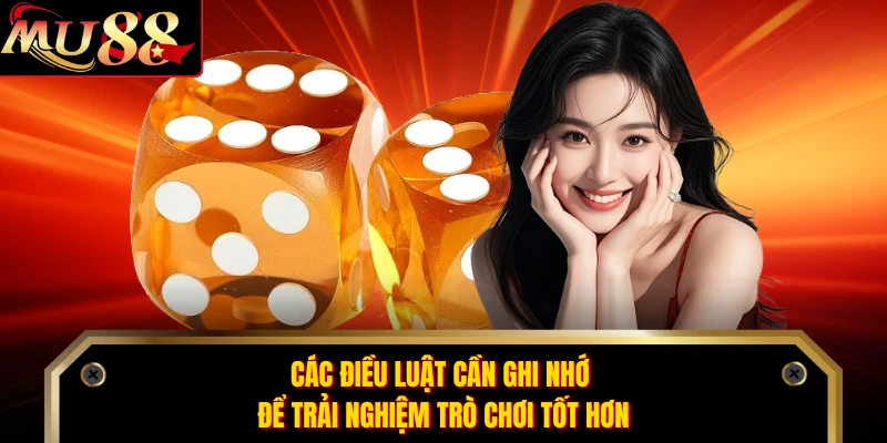 Các điều luật cần ghi nhớ để trải nghiệm trò chơi tốt hơn 