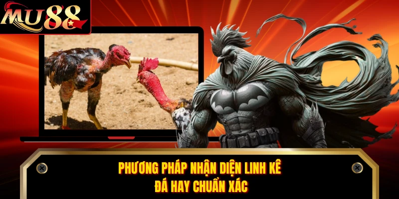 Phương pháp nhận diện linh kê đá hay chuẩn xác