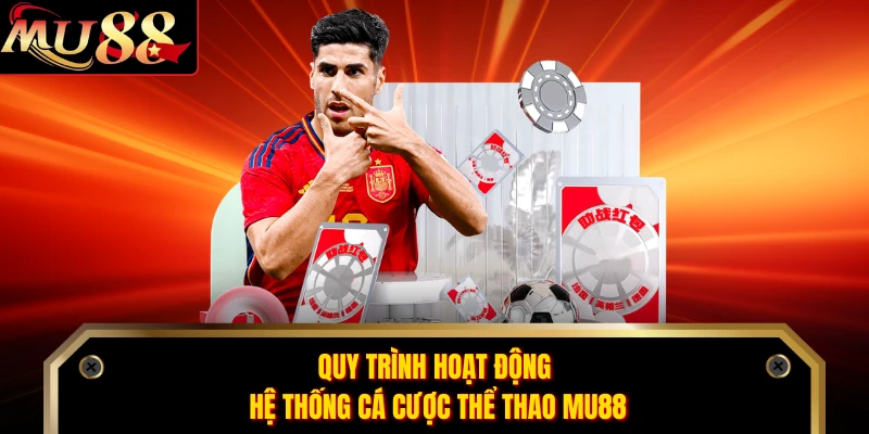 Quy trình hoạt động hệ thống cá cược thể thao MU88