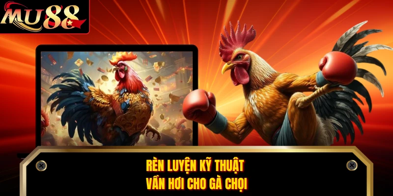 Rèn luyện kỹ thuật vần hơi cho gà chọi