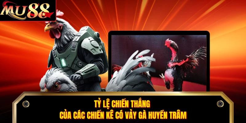 Tỷ lệ chiến thắng của các chiến kê có vảy gà huyền trâm