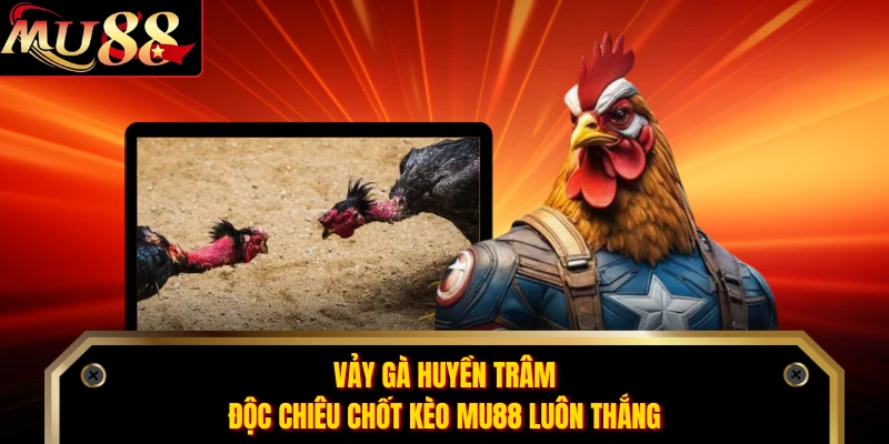 Vảy Gà Huyền Trâm - Độc Chiêu Chốt Kèo MU88 Luôn Thắng